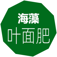 海藻肥,嘉特海藻肥,海藻葉面肥,海藻沖施肥