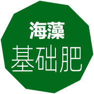 海藻肥,嘉特海藻肥,海藻葉面肥,海藻沖施肥