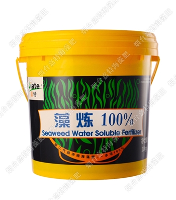 藻煉